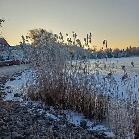 Mona * Heringsdorf (Usedom)