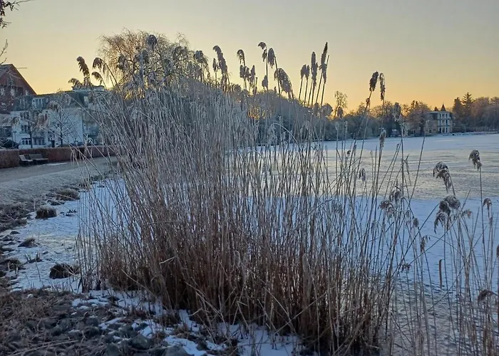 Mona * 塞巴特黑灵斯多夫